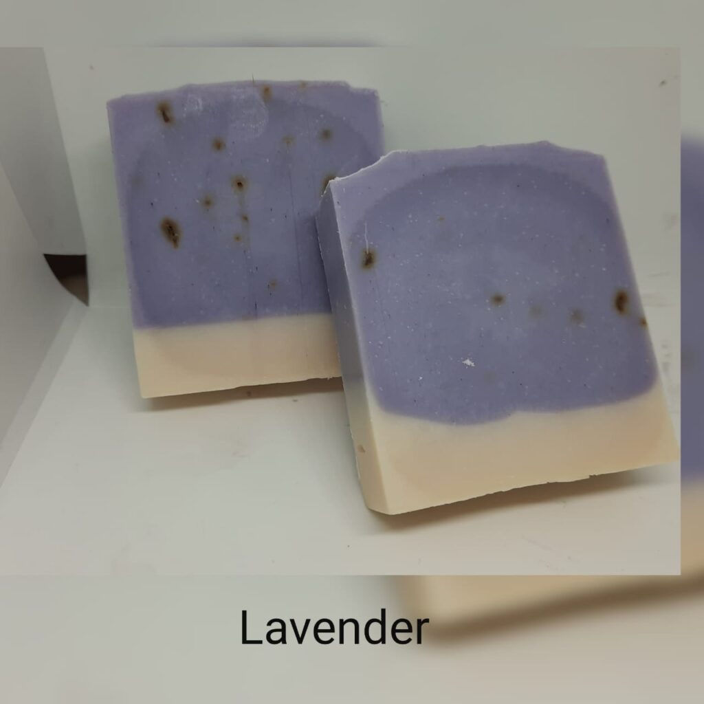 whatsapp image 2022 08 22 at 11.41.30 am (1)